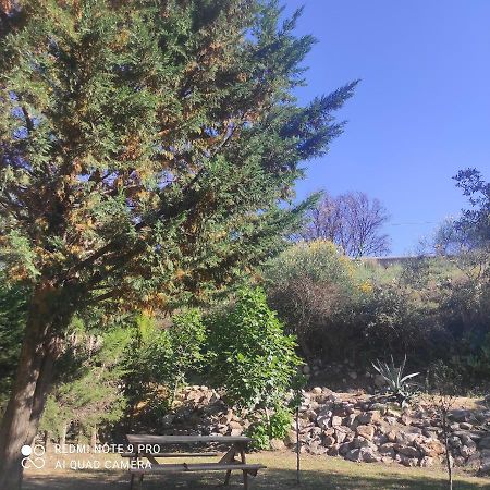 Villa Casaleno Gite La Cigale Avec Wi-Fi Millas 外观 照片